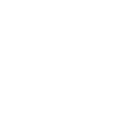 Plano VIP